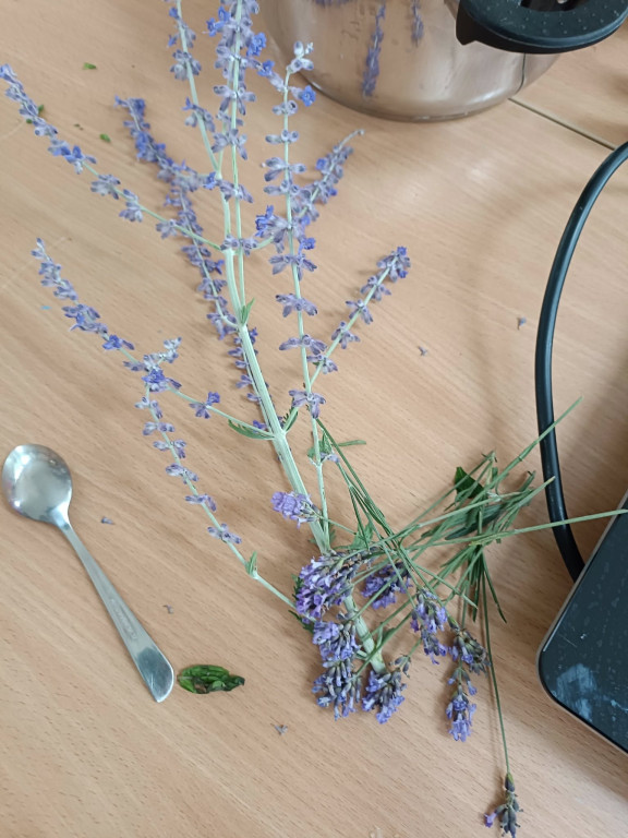 Ostatni tydzień lipca w GOK Ropa