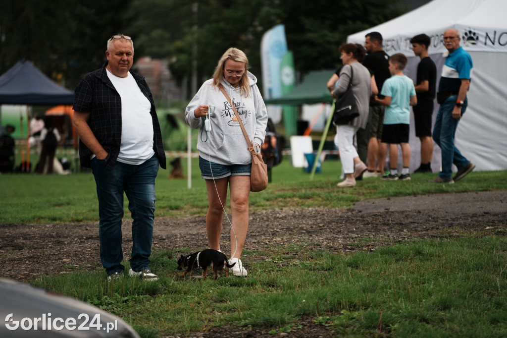 39. Wystawa Psów Rasowych w Gorlicach - sobota 02.08.