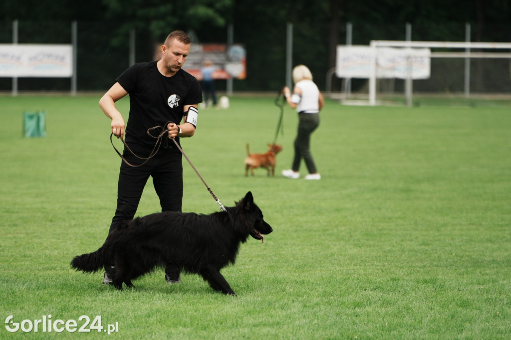 39. Wystawa Psów Rasowych w Gorlicach - sobota 02.08.