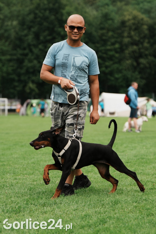 39. Wystawa Psów Rasowych w Gorlicach - sobota 02.08.