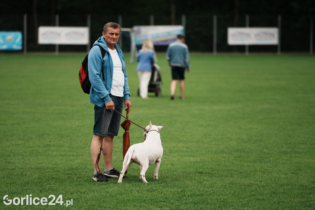 39. Wystawa Psów Rasowych w Gorlicach - sobota 02.08.