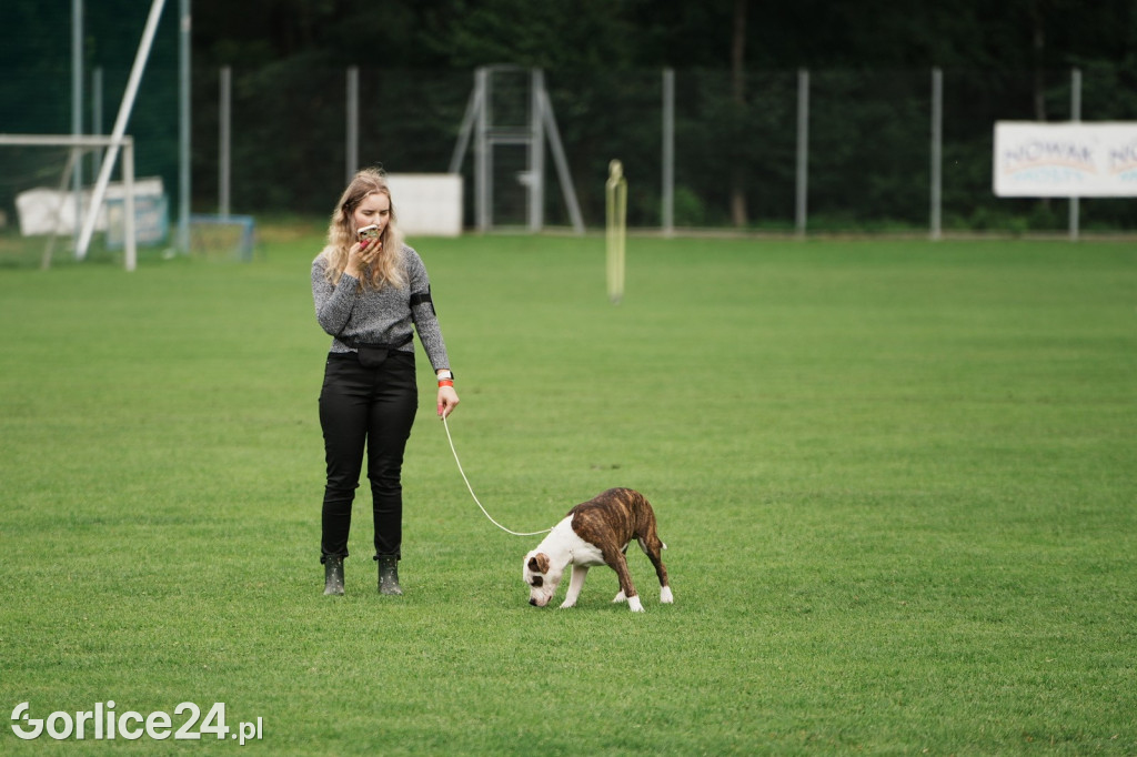 39. Wystawa Psów Rasowych w Gorlicach - sobota 02.08.
