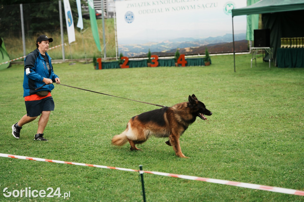 39. Wystawa Psów Rasowych w Gorlicach - sobota 02.08.