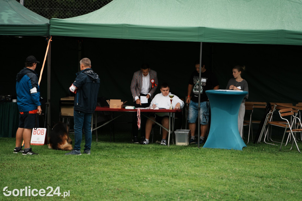 39. Wystawa Psów Rasowych w Gorlicach - sobota 02.08.