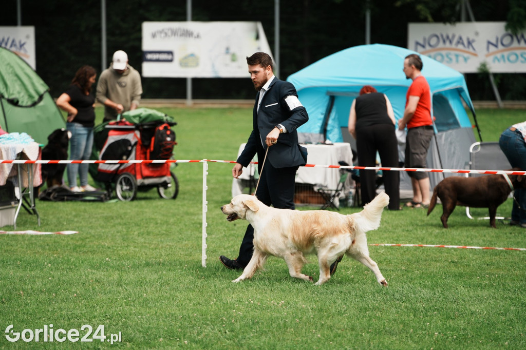 39. Wystawa Psów Rasowych w Gorlicach - sobota 02.08.