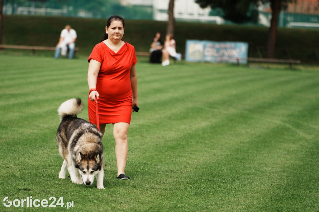 39. Wystawa Psów Rasowych w Gorlicach - sobota 02.08.