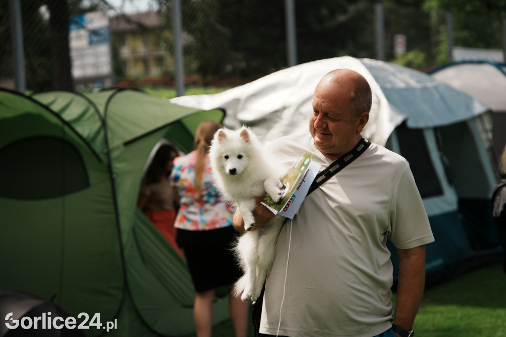 39. Wystawa Psów Rasowych w Gorlicach - sobota 02.08.