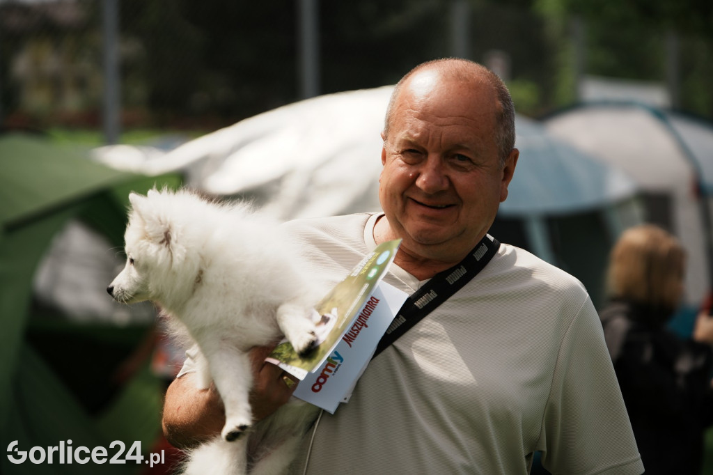 39. Wystawa Psów Rasowych w Gorlicach - sobota 02.08.