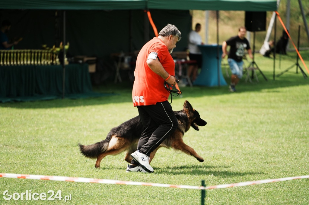 39. Wystawa Psów Rasowych w Gorlicach - sobota 02.08.