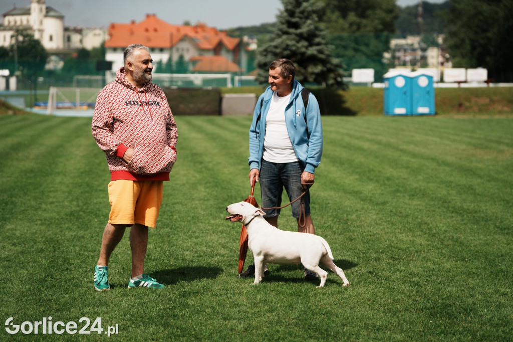 39. Wystawa Psów Rasowych w Gorlicach - sobota 02.08.