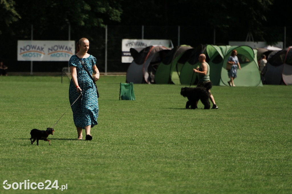 39. Wystawa Psów Rasowych w Gorlicach - sobota 02.08.