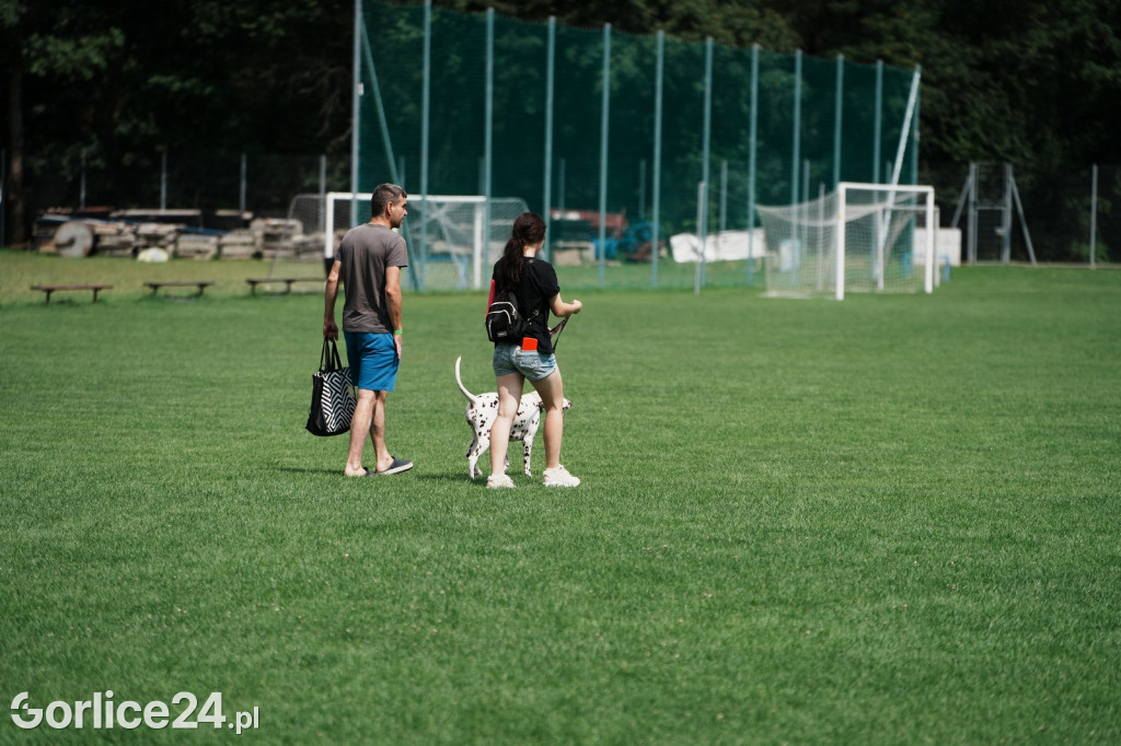 40. Wystawa Psów Rasowych w Gorlicach - niedziela 03.08.
