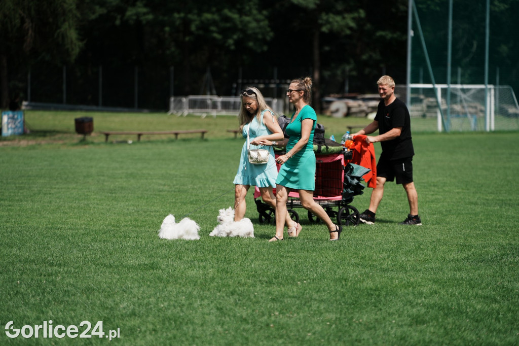 40. Wystawa Psów Rasowych w Gorlicach - niedziela 03.08.
