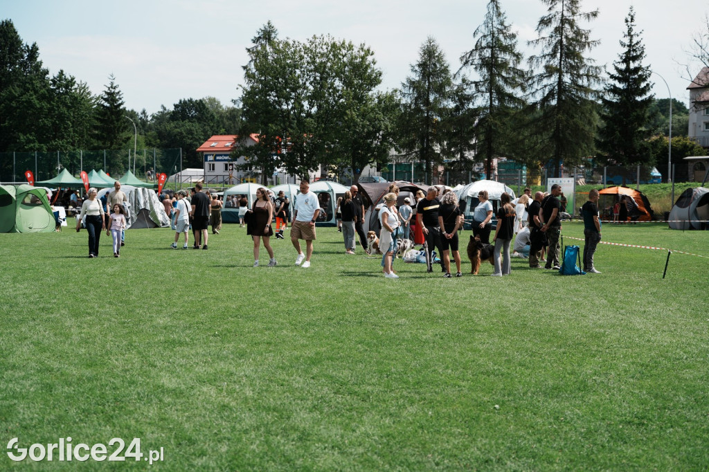 40. Wystawa Psów Rasowych w Gorlicach - niedziela 03.08.