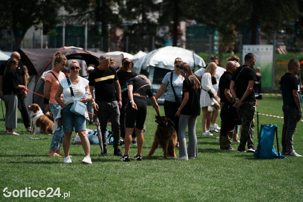 40. Wystawa Psów Rasowych w Gorlicach - niedziela 03.08.