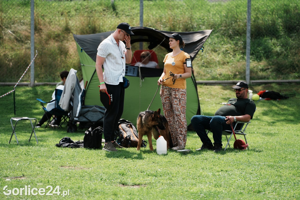 40. Wystawa Psów Rasowych w Gorlicach - niedziela 03.08.