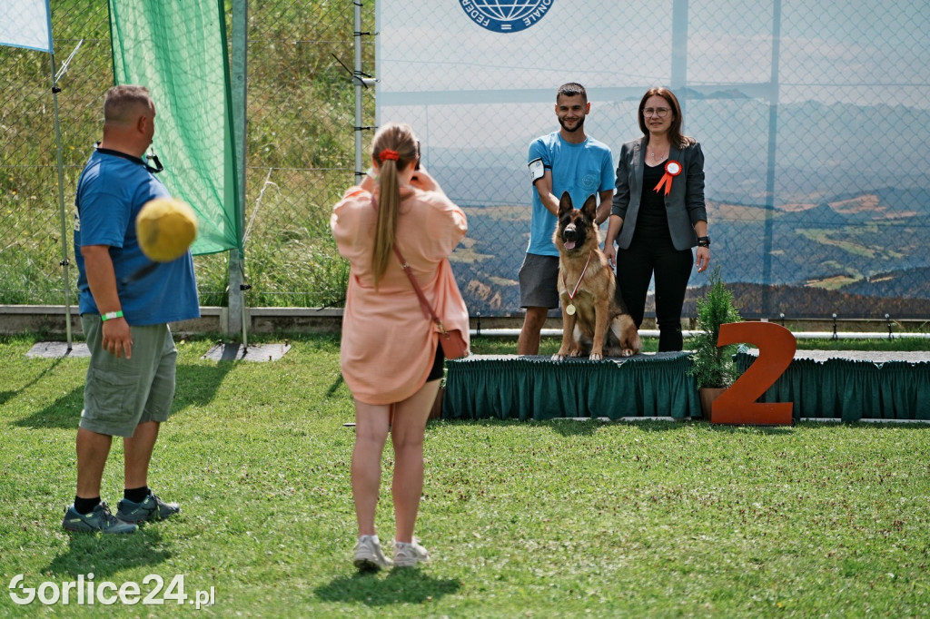 40. Wystawa Psów Rasowych w Gorlicach - niedziela 03.08.