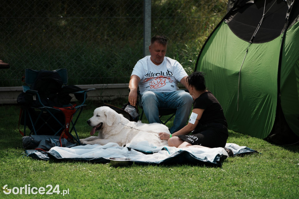 40. Wystawa Psów Rasowych w Gorlicach - niedziela 03.08.