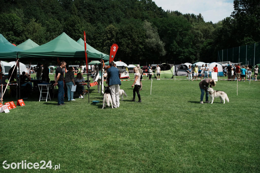 40. Wystawa Psów Rasowych w Gorlicach - niedziela 03.08.
