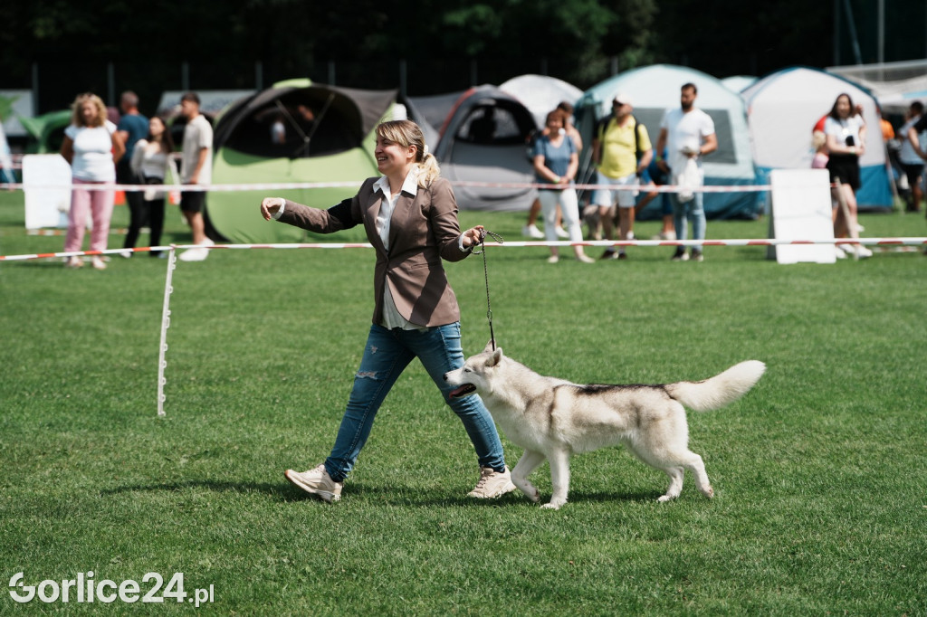 40. Wystawa Psów Rasowych w Gorlicach - niedziela 03.08.
