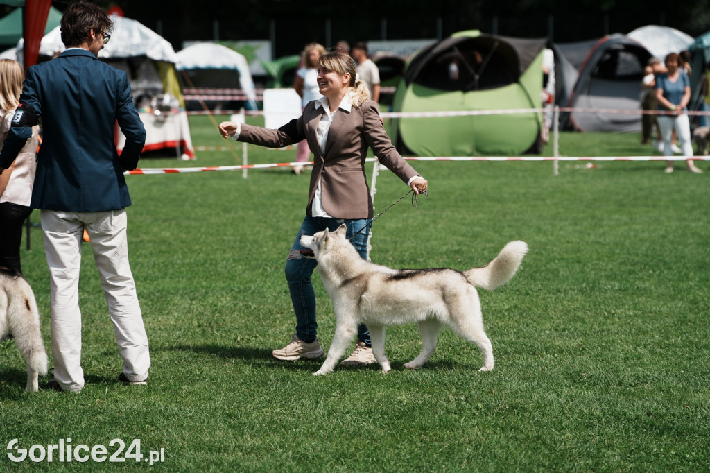 40. Wystawa Psów Rasowych w Gorlicach - niedziela 03.08.