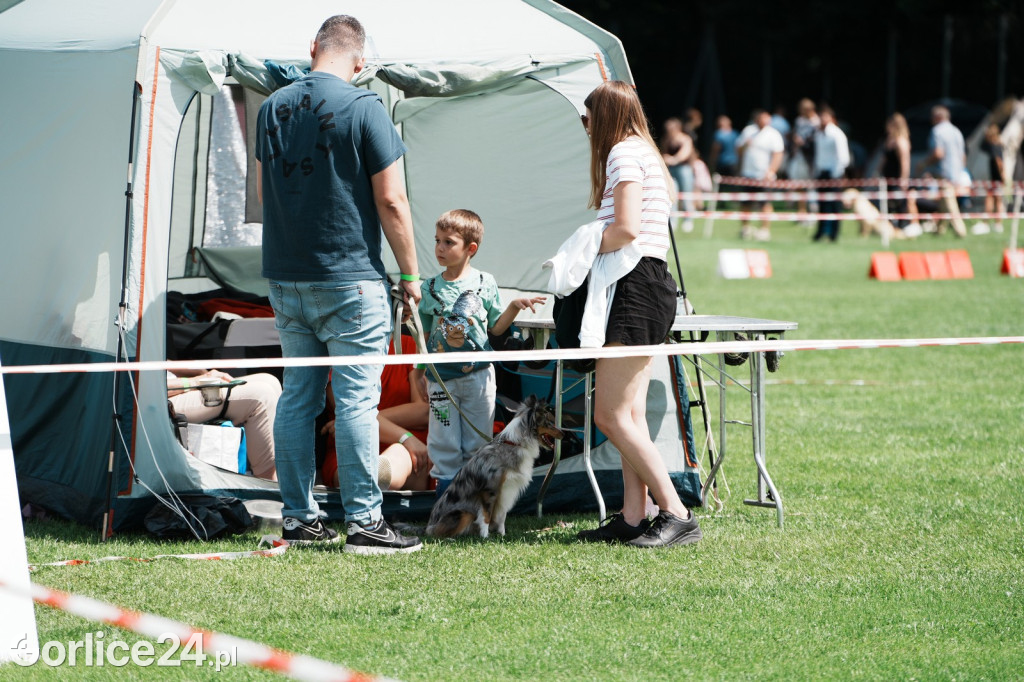 40. Wystawa Psów Rasowych w Gorlicach - niedziela 03.08.