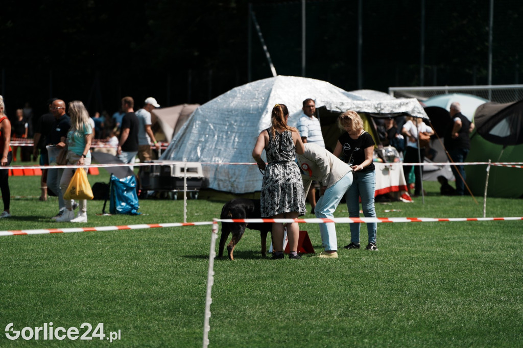 40. Wystawa Psów Rasowych w Gorlicach - niedziela 03.08.