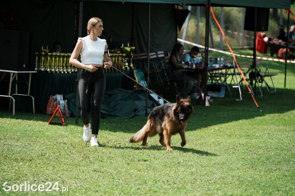 40. Wystawa Psów Rasowych w Gorlicach - niedziela 03.08.