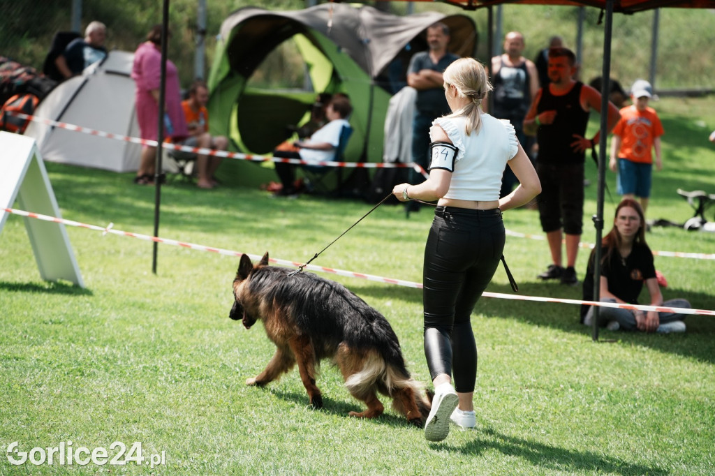 40. Wystawa Psów Rasowych w Gorlicach - niedziela 03.08.