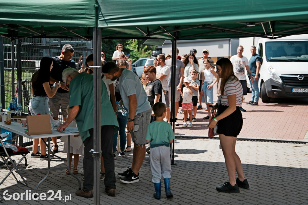 40. Wystawa Psów Rasowych w Gorlicach - niedziela 03.08.