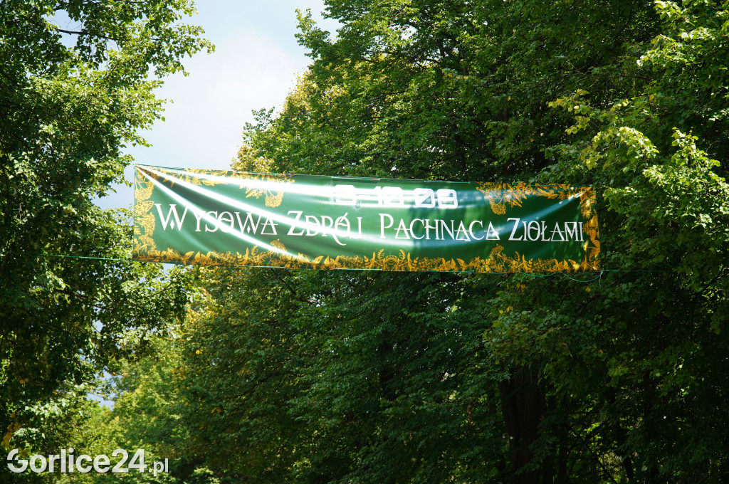 Małopolska Wieś Pachnąca ZIołami w Wysowej (10.08)