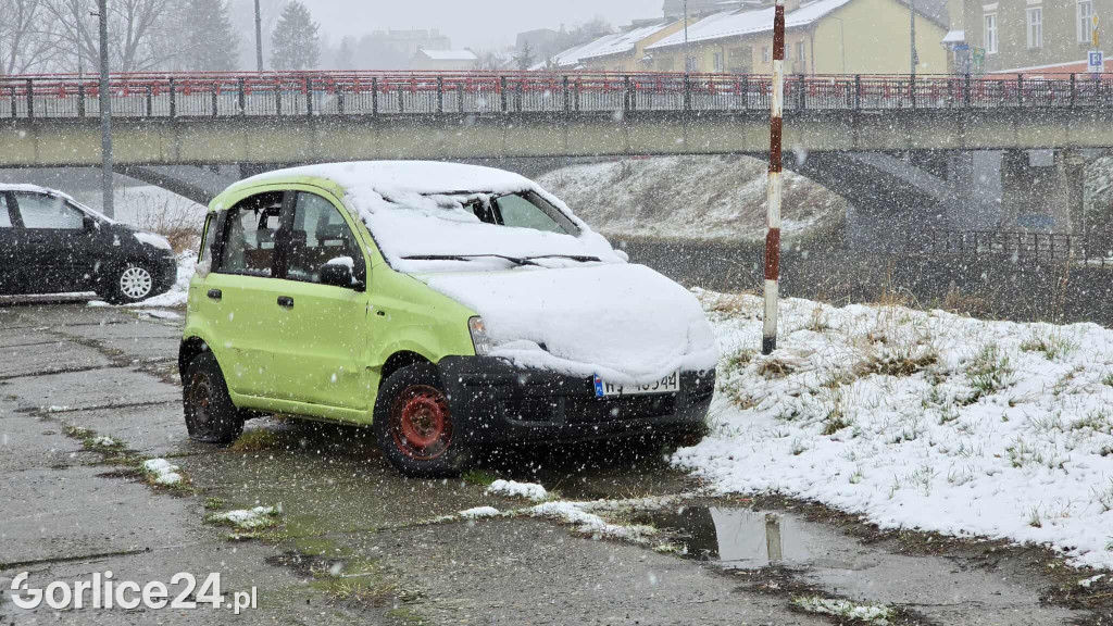 Wrak pandy na parkingu przy ul. Mickiewicza