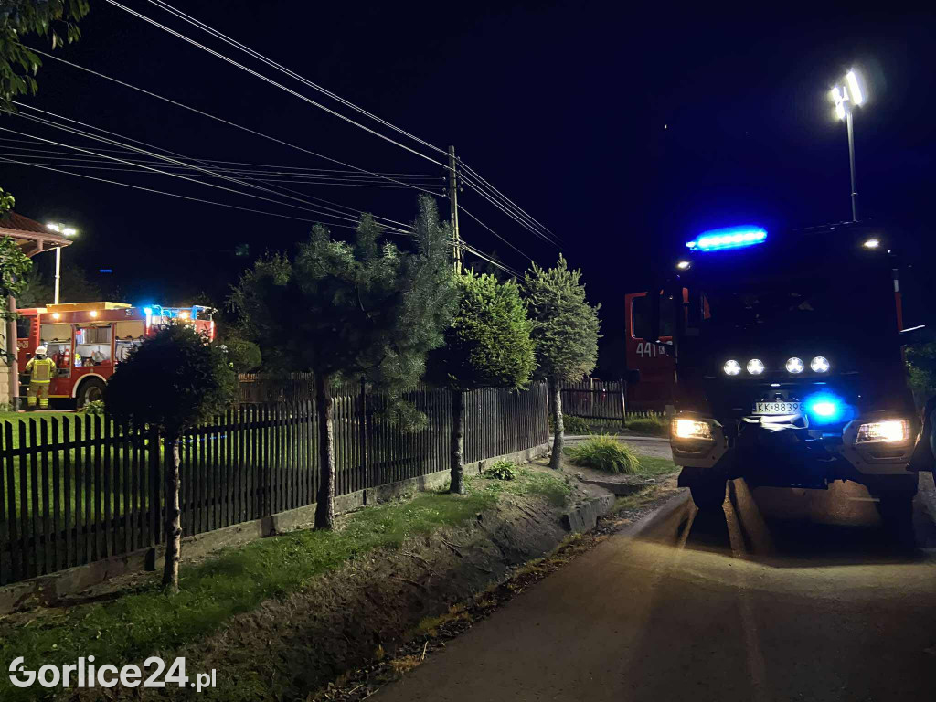Pożar w Krygu (20.08)