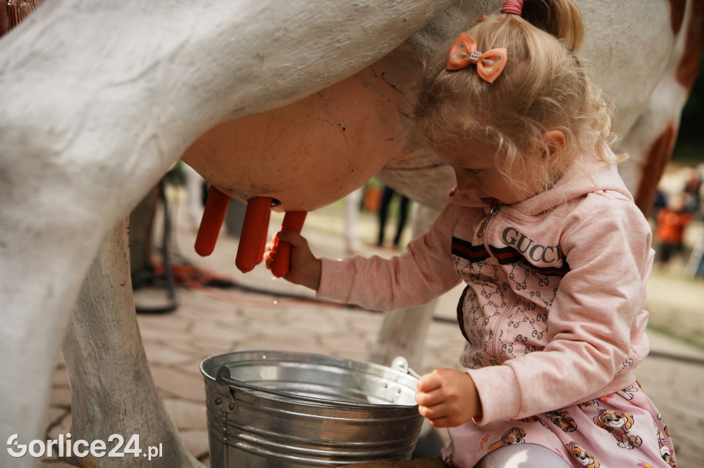 Wapienne: Zlot Rowerowy i Mistrzostwa w Dojeniu Krowy