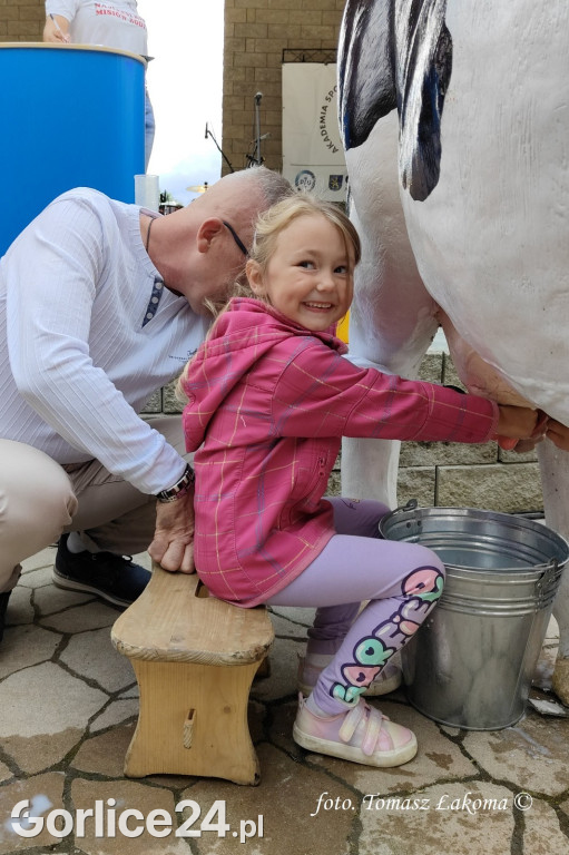 Wapienne: Zlot Rowerowy i Mistrzostwa w Dojeniu Krowy