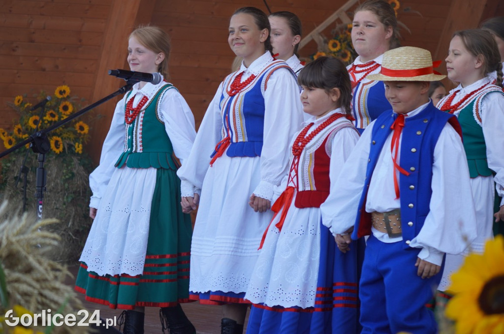 Sławomir - koncert podczas Dożynek w Bobowej