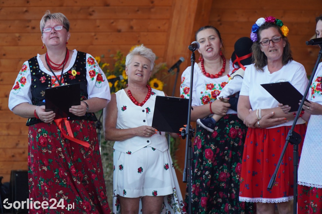 Sławomir - koncert podczas Dożynek w Bobowej