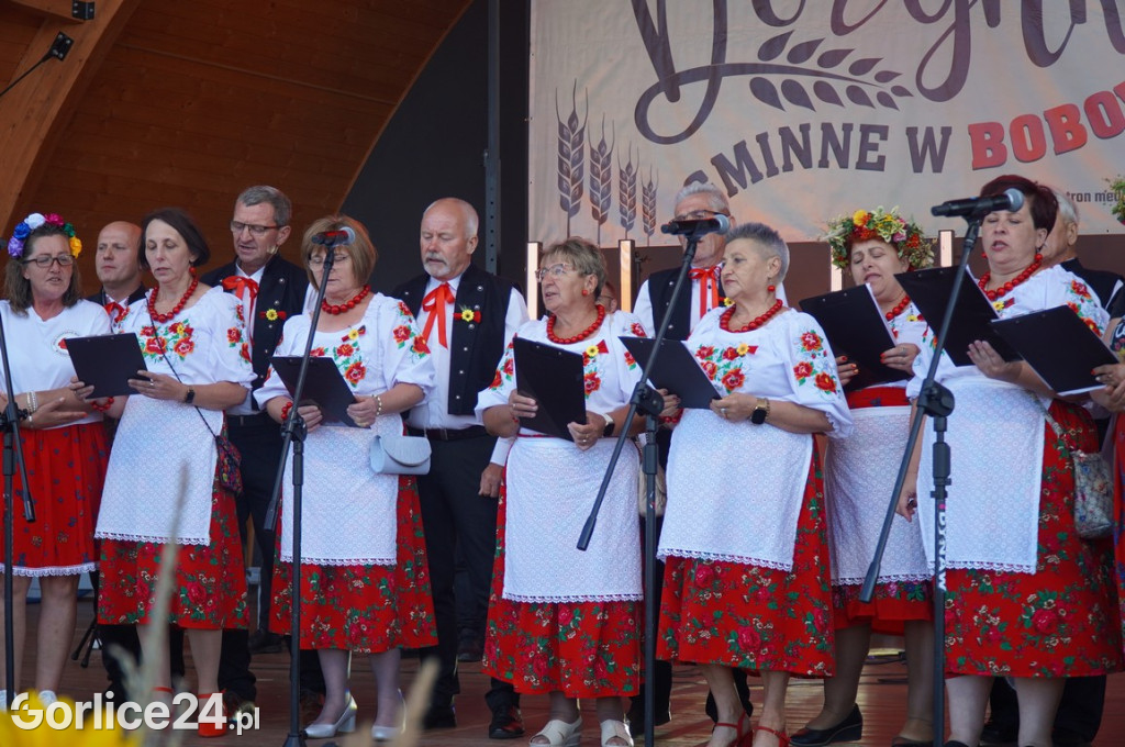 Sławomir - koncert podczas Dożynek w Bobowej
