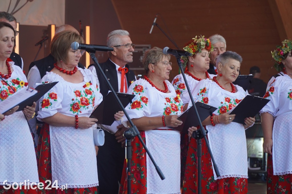 Sławomir - koncert podczas Dożynek w Bobowej