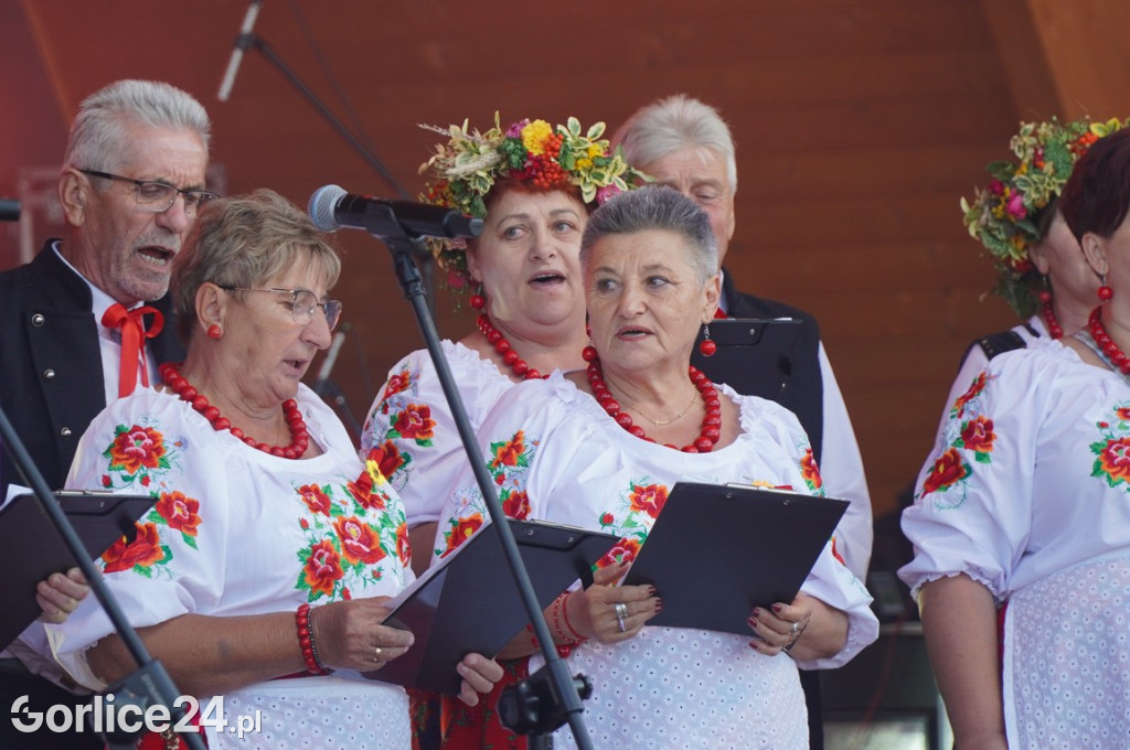 Sławomir - koncert podczas Dożynek w Bobowej