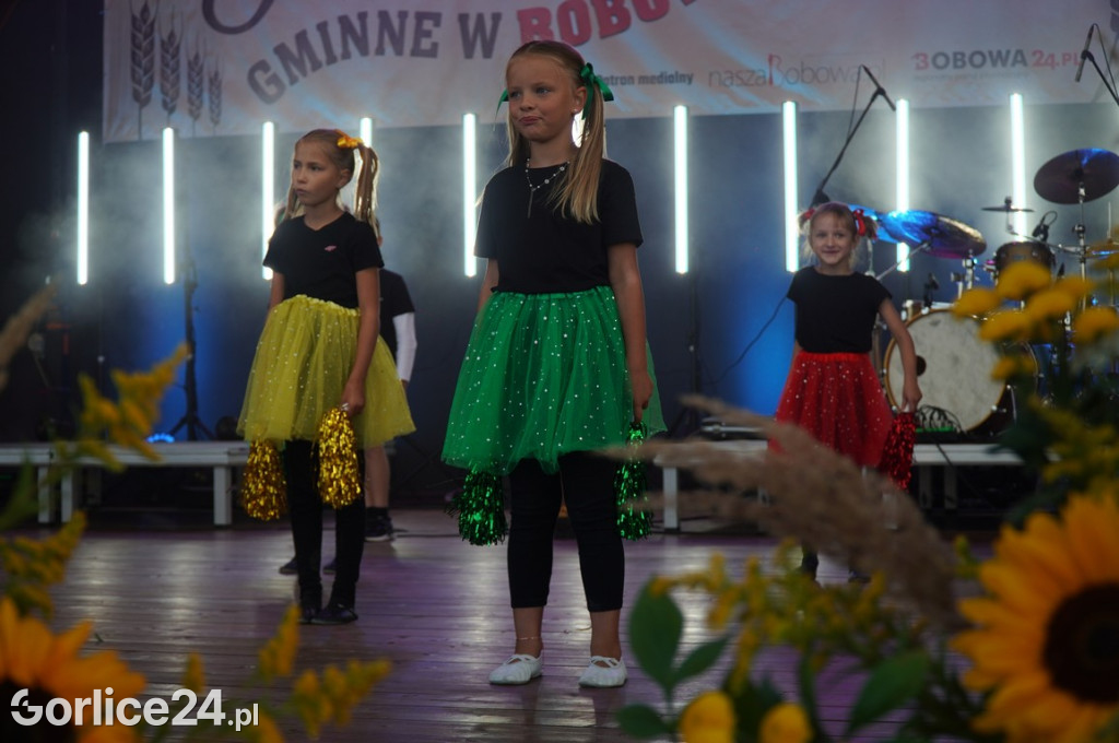 Sławomir - koncert podczas Dożynek w Bobowej