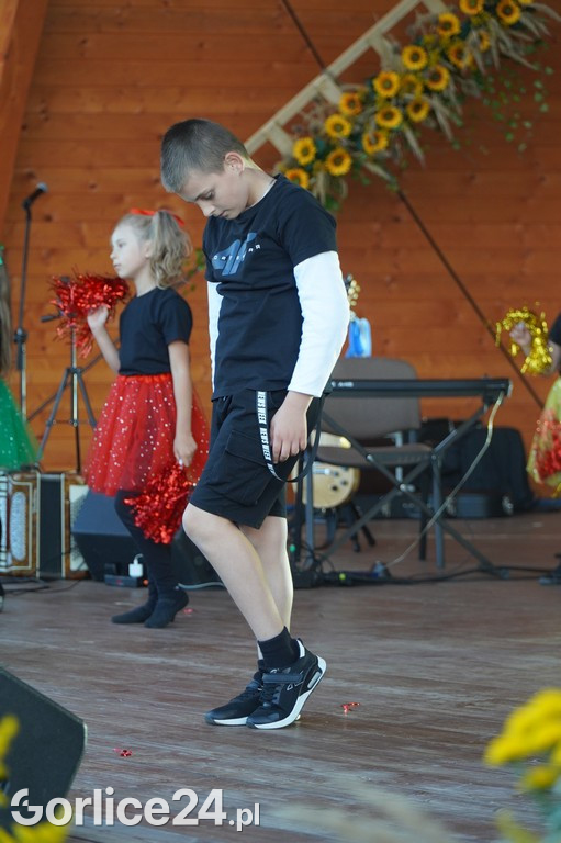Sławomir - koncert podczas Dożynek w Bobowej