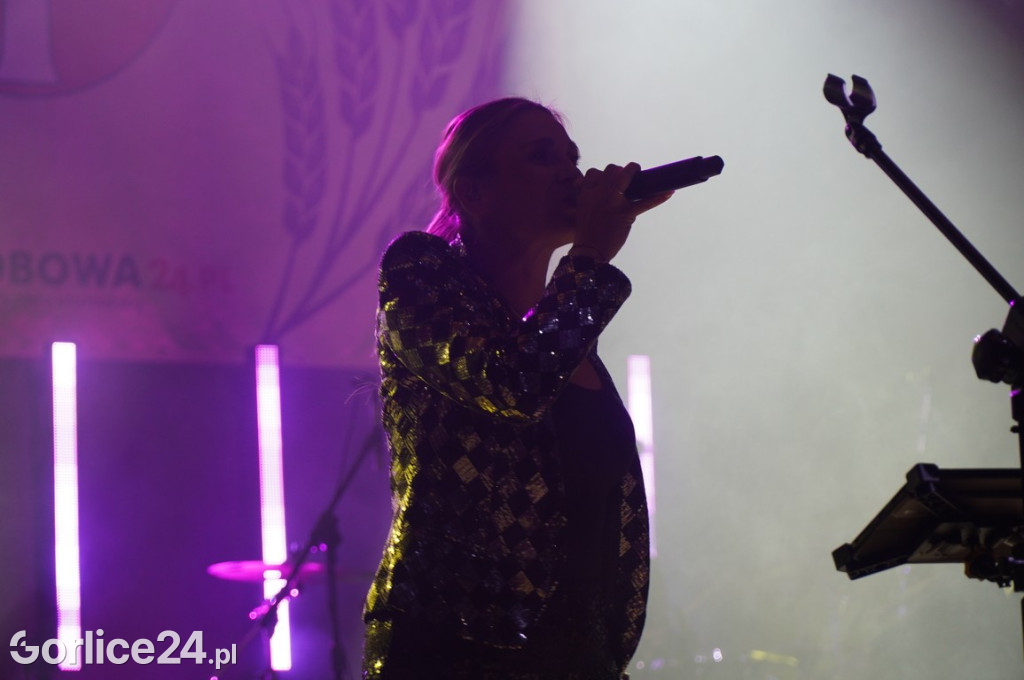 Sławomir - koncert podczas Dożynek w Bobowej