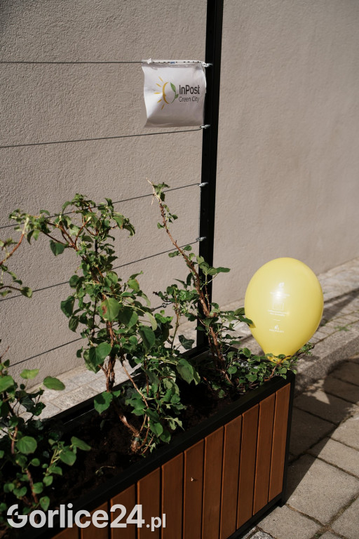 Otwarcie Parku Kieszonkowego na dziedzińcu Ratusza (29.08.)