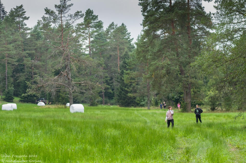  Leśna Przygoda 2025 - EKOPARK Radocyna