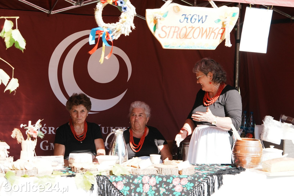 Agro Gorlice 2025 w Bystrej - sobota (20.09.)