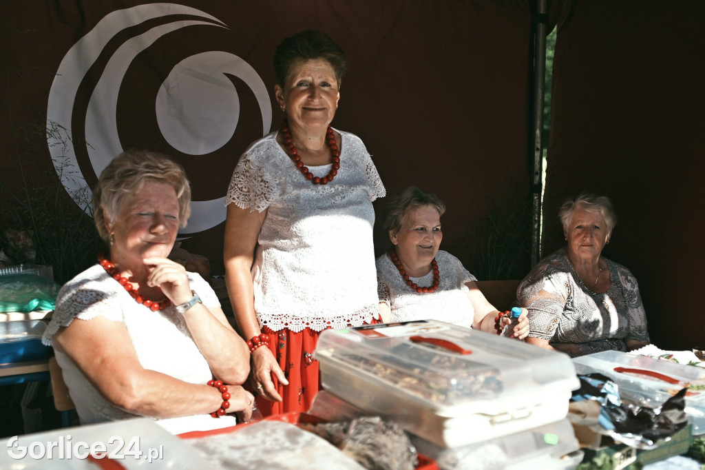 Agro Gorlice 2025 w Bystrej - sobota (20.09.)