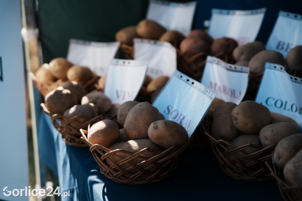 Agro Gorlice 2025 w Bystrej - sobota (20.09.)