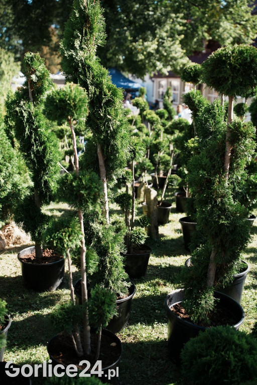 Agro Gorlice 2025 w Bystrej - sobota (20.09.)