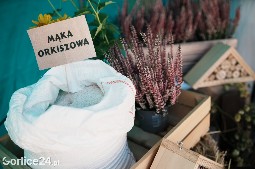 Agro Gorlice 2025 w Bystrej - sobota (20.09.)